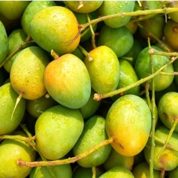 গোপালভোগ